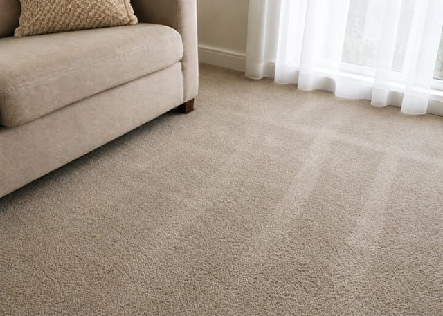 Same carpet after professional steam cleaning in Melbourne – stains and marks removed