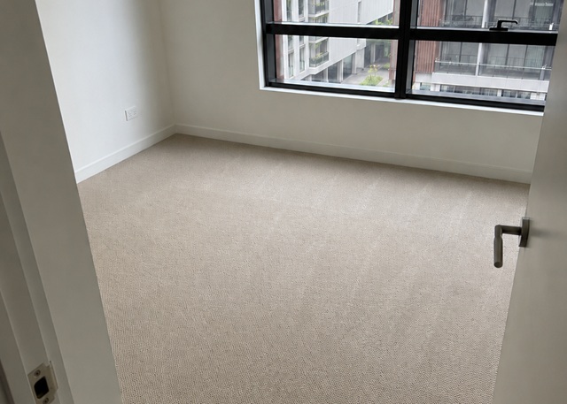 After professional carpet cleaning