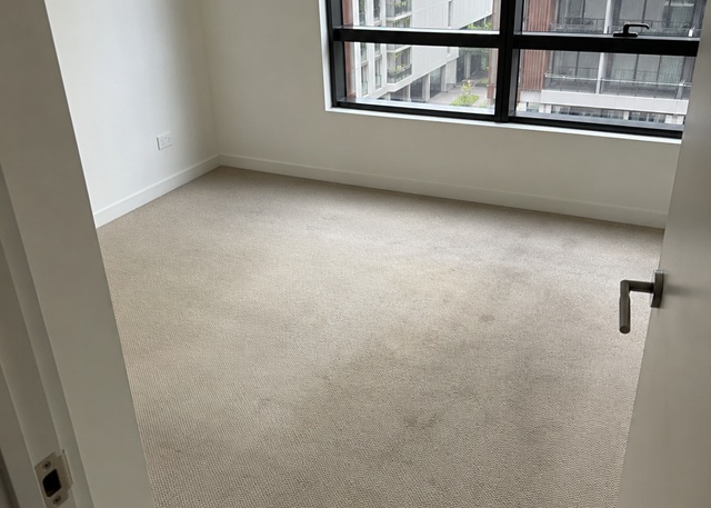Before professional carpet cleaning