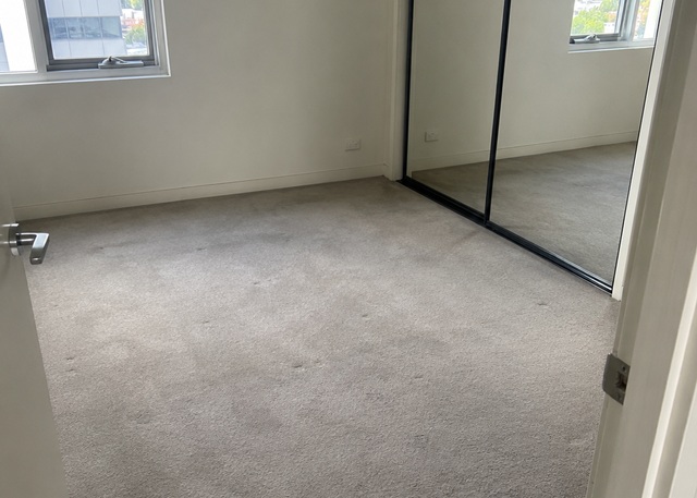 Before carpet steam cleaning