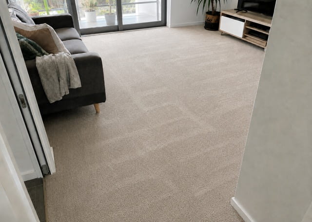 Same carpet after professional steam cleaning in Perth