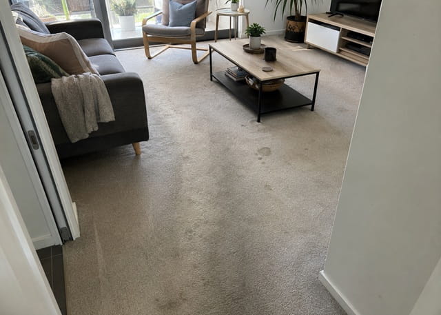 Soiled carpet before steam cleaning in a Perth home