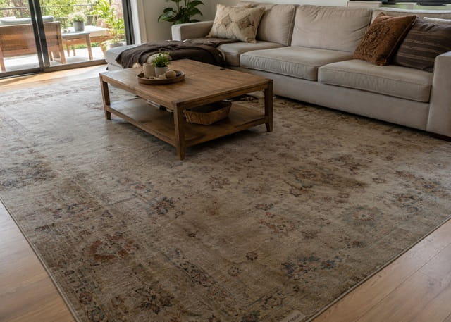 Dirty area rug before professional rug cleaning in a Perth family room